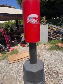 Century kicking bag