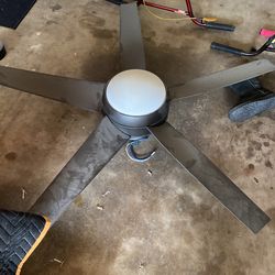 Indoor Ceiling Fan Used  Great Condition 
