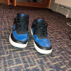Blue Nike Dunks 