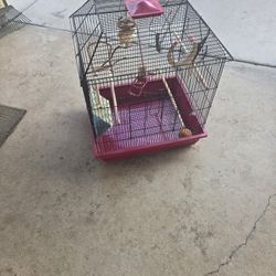 Bird Cage