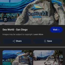 Seaworld Ticket 