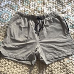 Fabletics Shorts 5”