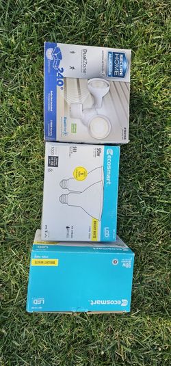 Flood Lights And 3 Bulbs