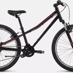 Specialized Hot Rock 24