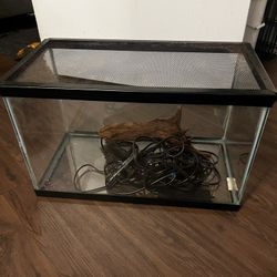 10 Gallon Aquarium