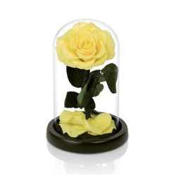 NATROSES Handmade Preserved Roses in Glass Dome, Yellow Roses, Preserved Flowers Gifts for Women, Mothers Day Flowers  