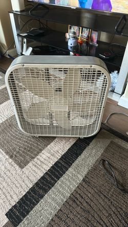 Fan
