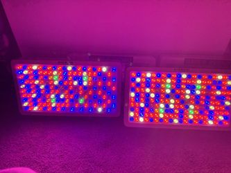 Hi grow Best LED Grow Lights