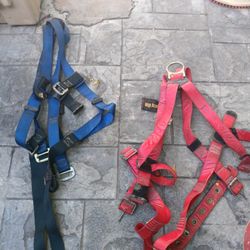 Safety Harness
