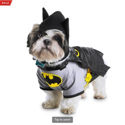 brand new dog and cat costumes (many sizes) $10