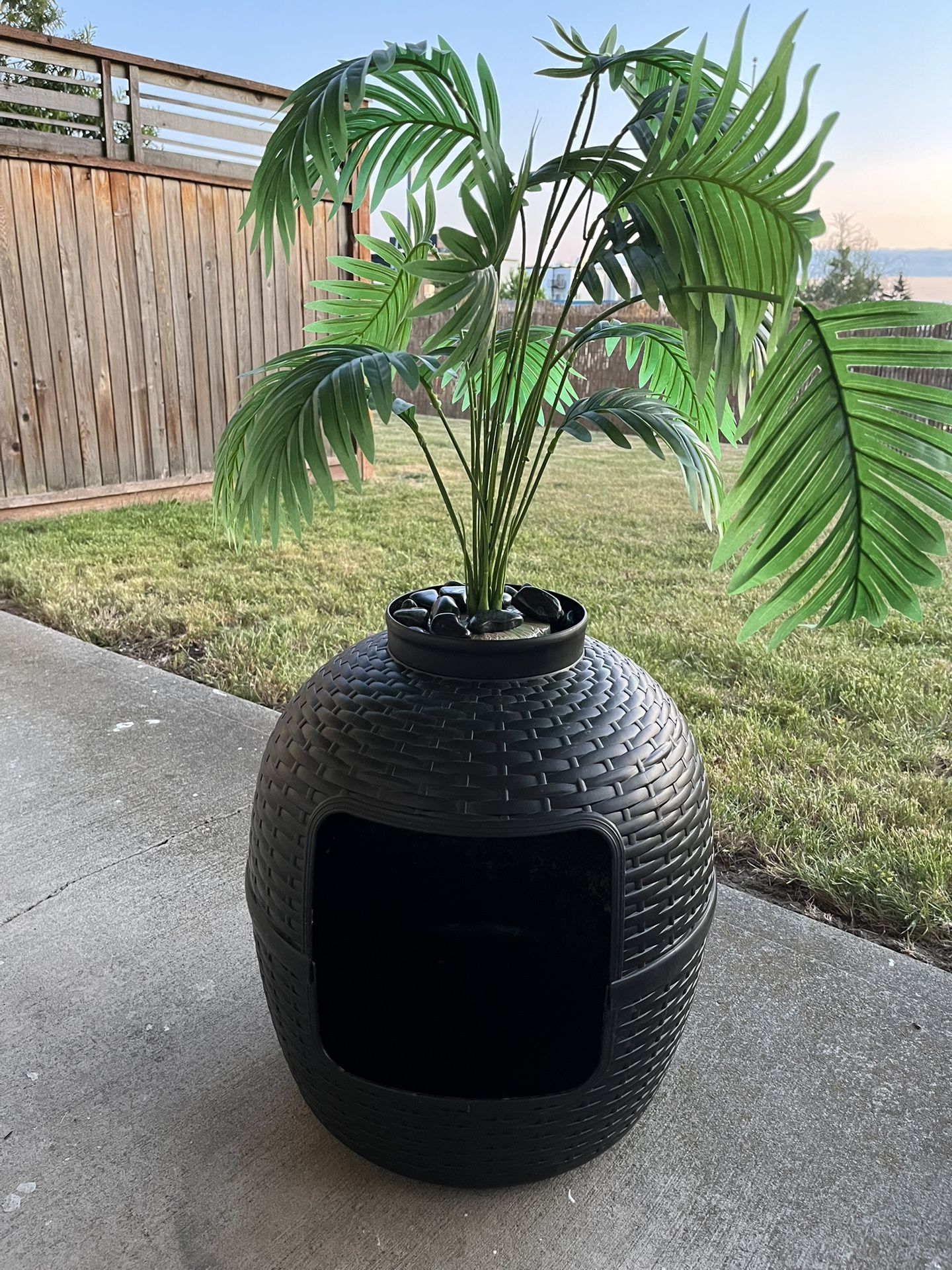 Cat Litter Box Palm