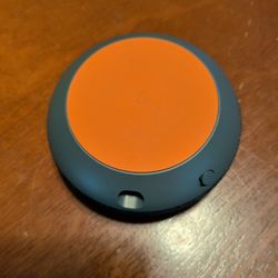 Google Nest or Home Mini 1st Gen