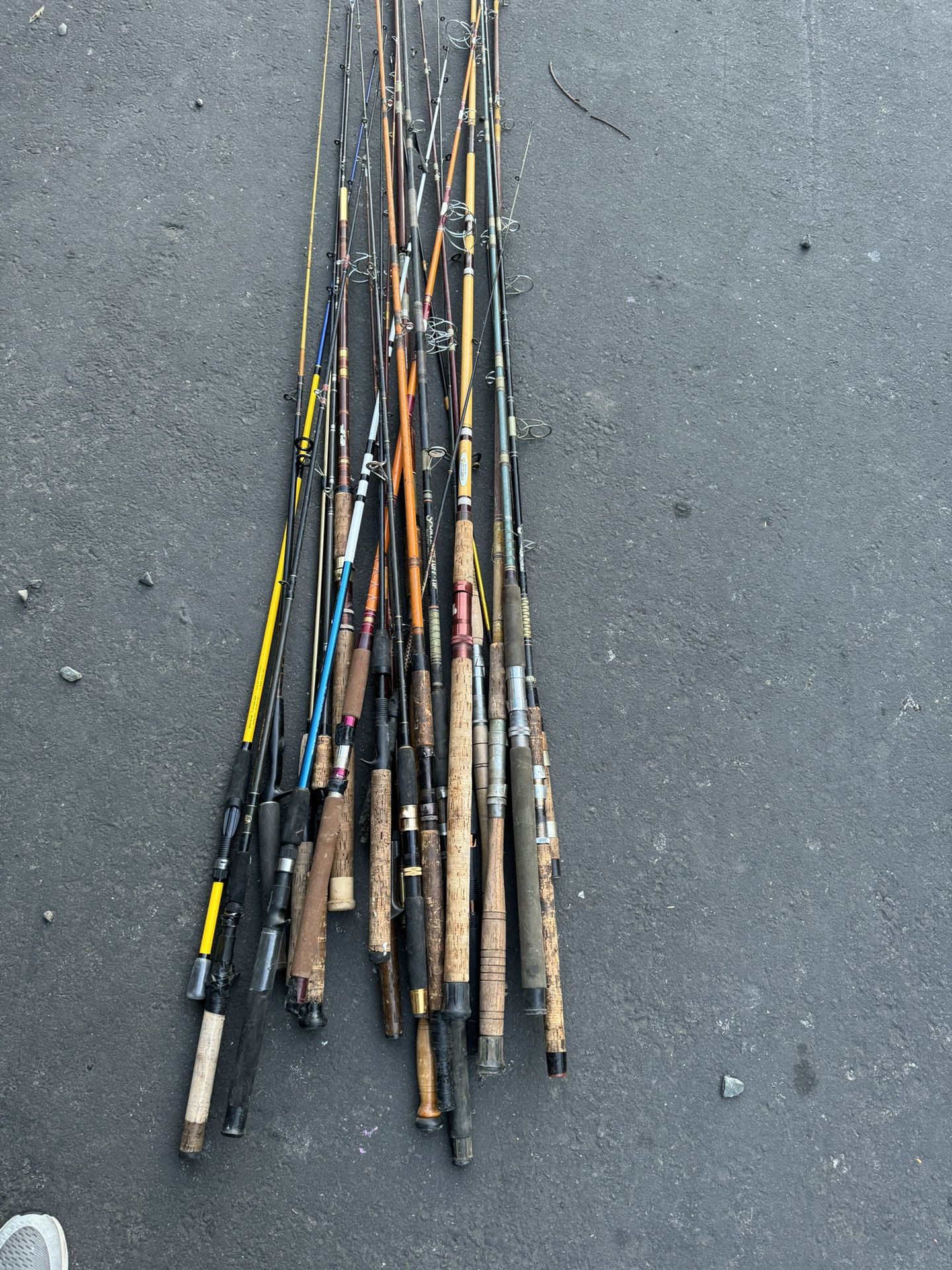all the fishing rods with no wheels. 23 of them  an 6 fishing pole with reels 