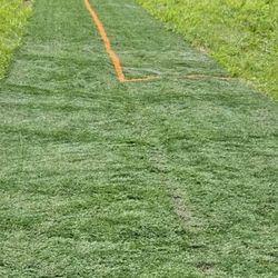 (Lexington, KY) Turf for Sale!