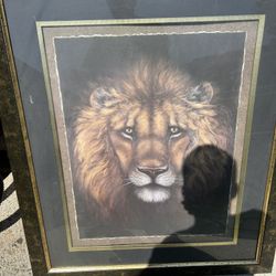 Large Lion Picture 