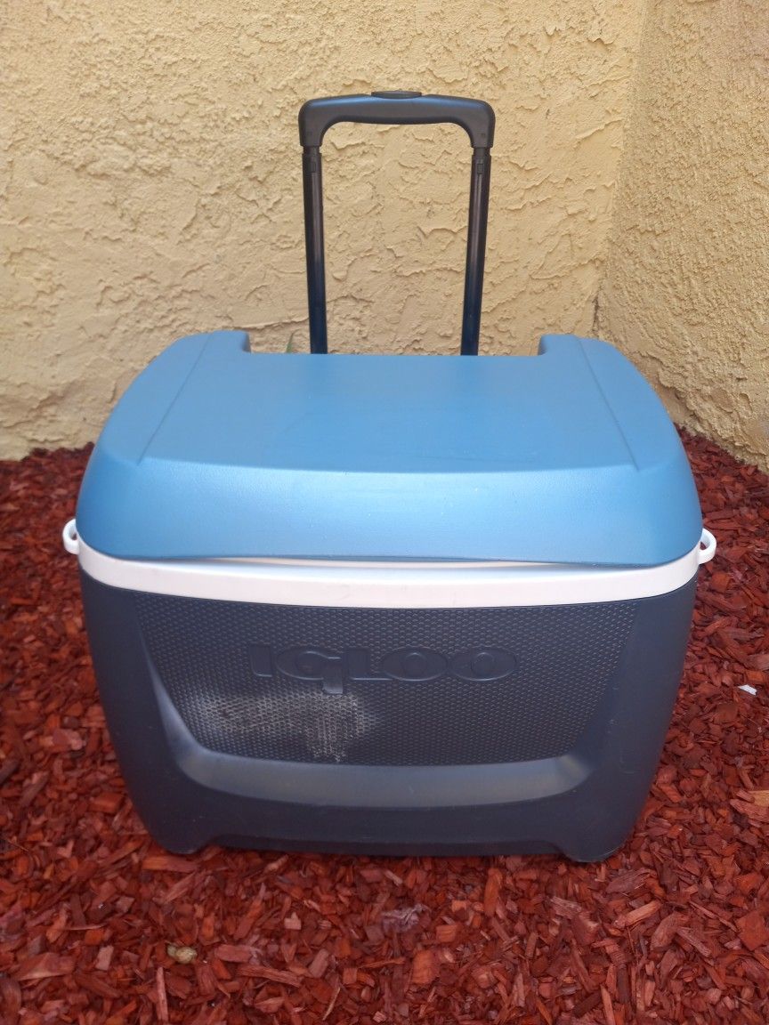 ROLLING COOLER WITH HANDLE