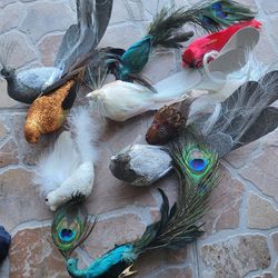 Home Decor Bundle Birds All For $10