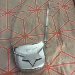 Metallic Purse 