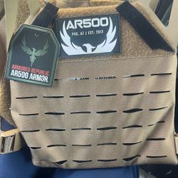 Plate Carrier With Plates