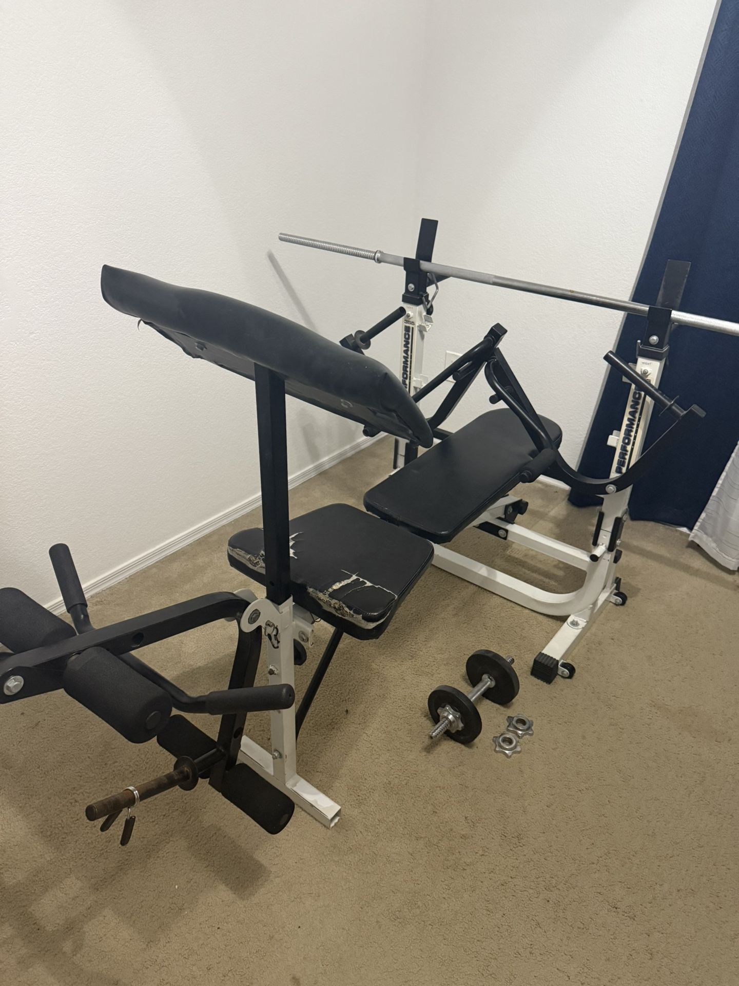 Weight Bench (Performance 355)