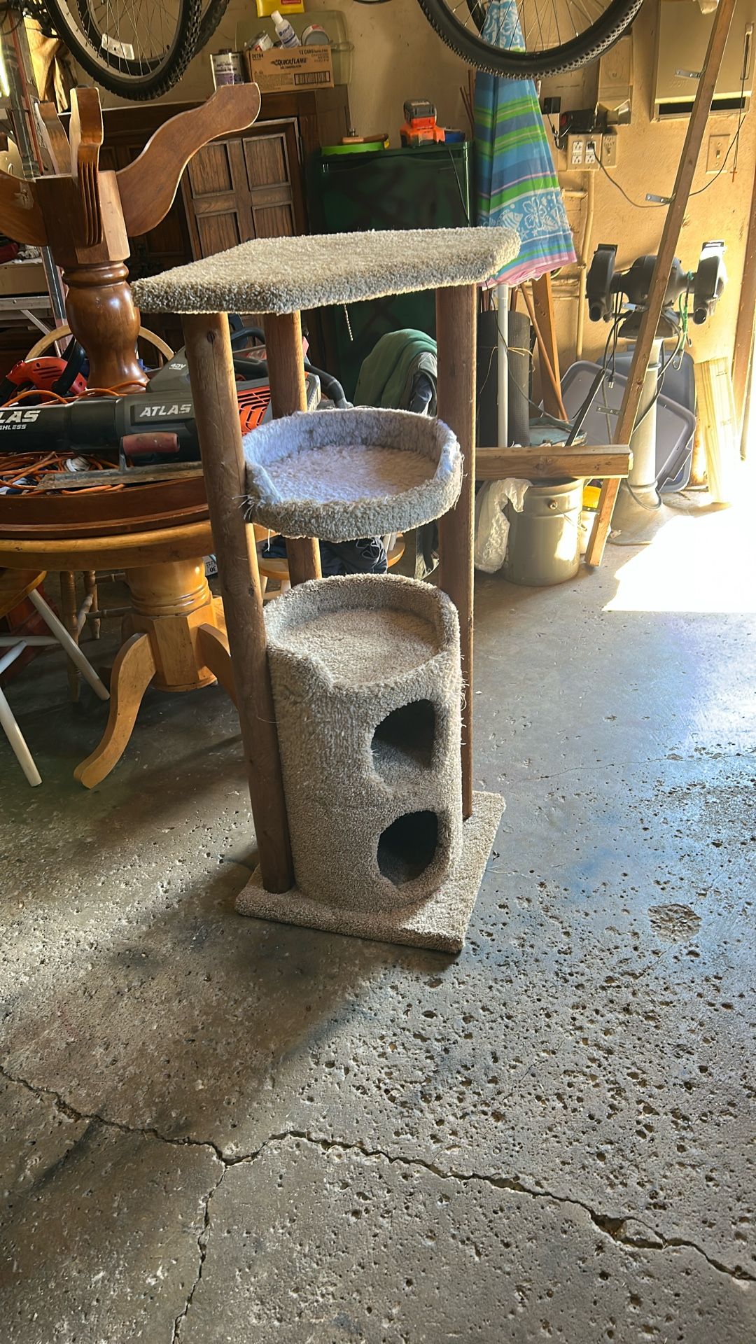 Cat Perch