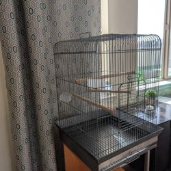 Bird Cage 