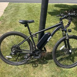 Qlife Racer