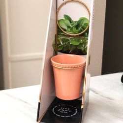 NEW cute home decor planter