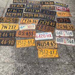 15$ Each Old Car  Plates  Except One That Have Same Number 