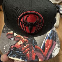 Marvel Spiderman Hat