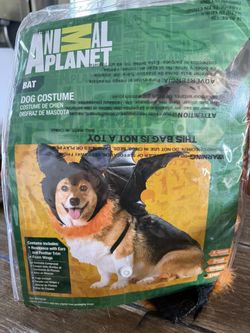 animal Planet Dog Costume BAT Halloween