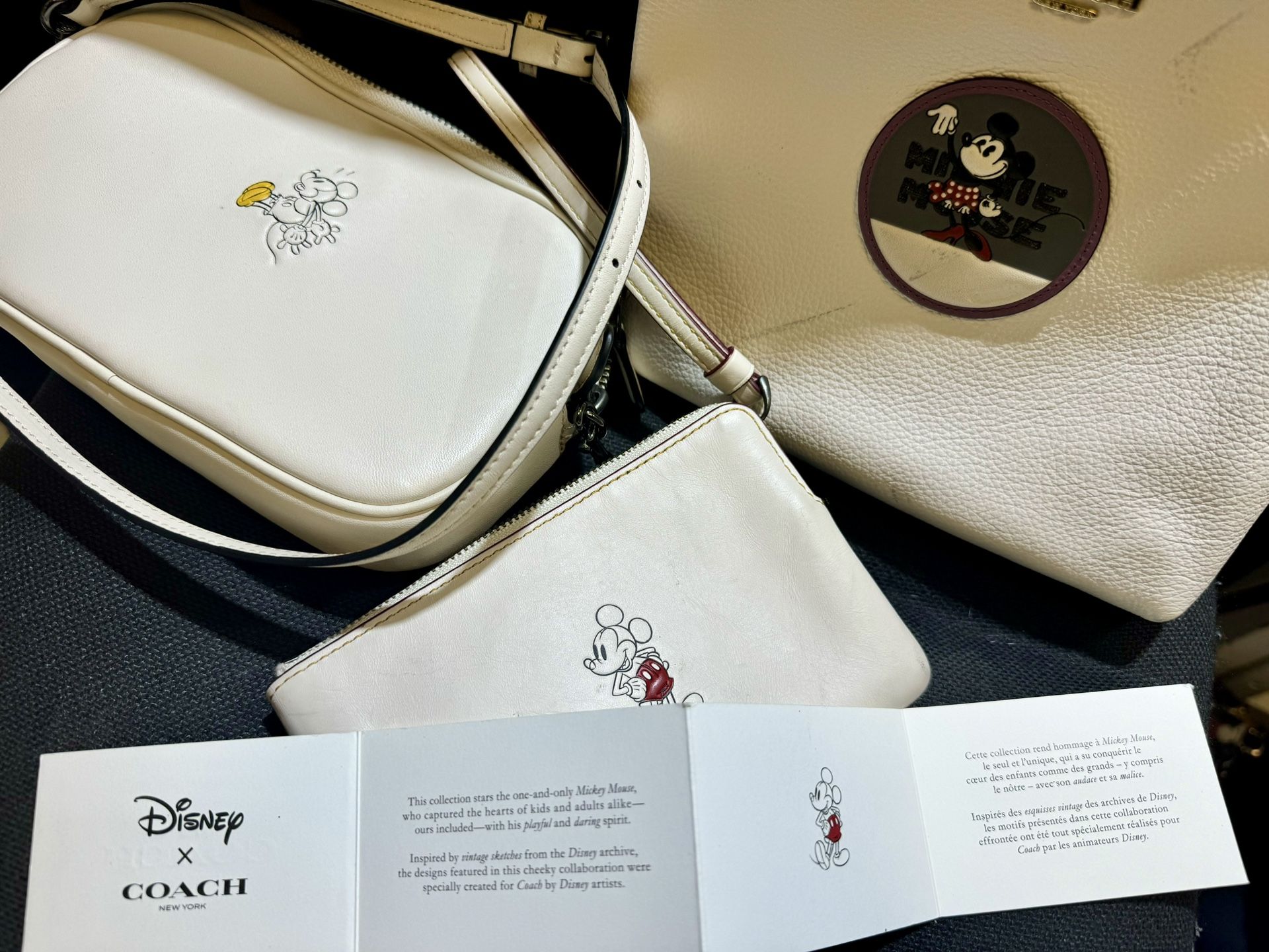 Disney X Coach Bage