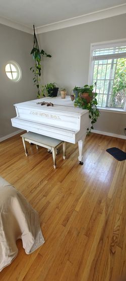 Hand Painted Baby Grand Piano