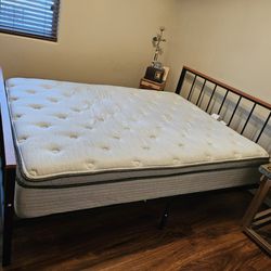 Twin Xl Plush Pillow Top Bed AN Frame