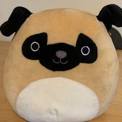 Squishmallow 