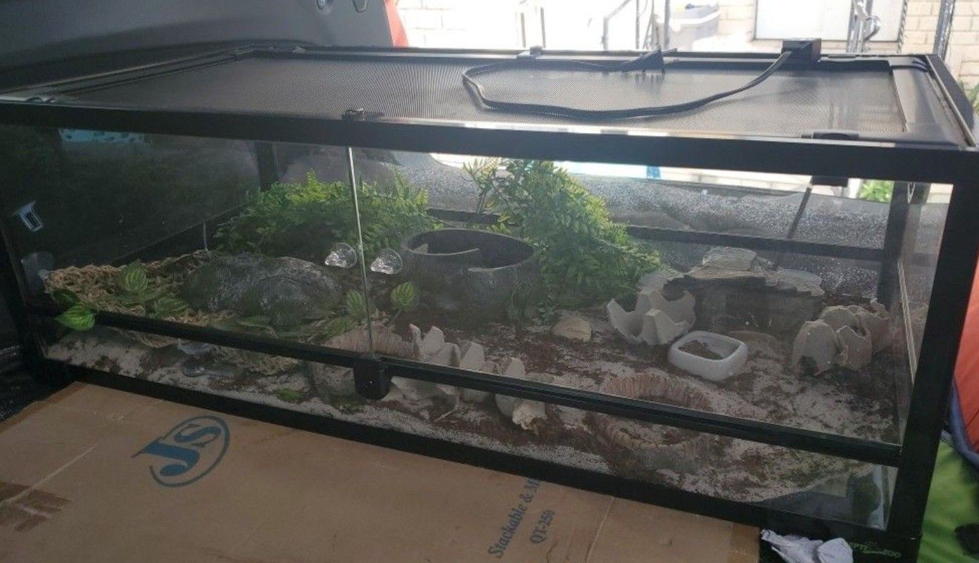 Repti Zoo Reptile Tank / Cage