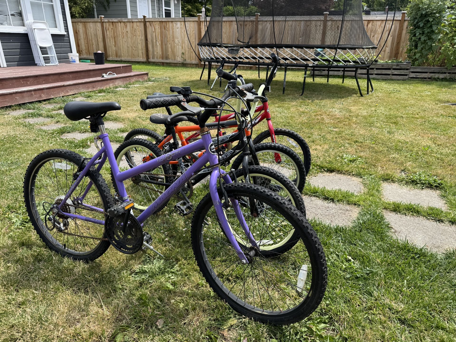 24” Girls Women’s Bike