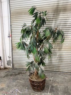 7ft fake tropical plant