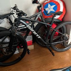 GIANT Talon Bike 