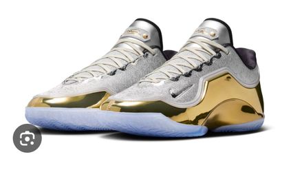 Lebron 23 Dreams&Nightmares