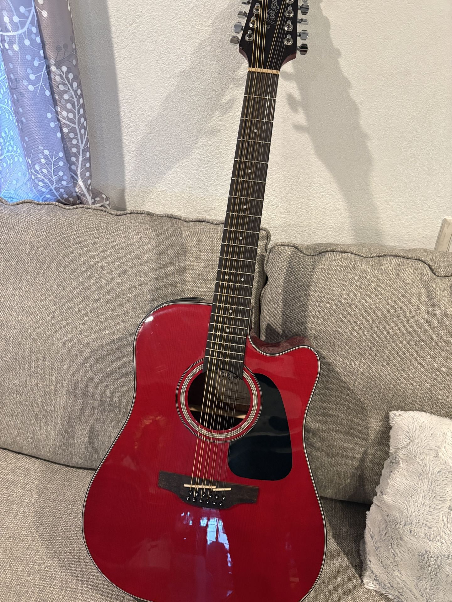 Takamine G Series
