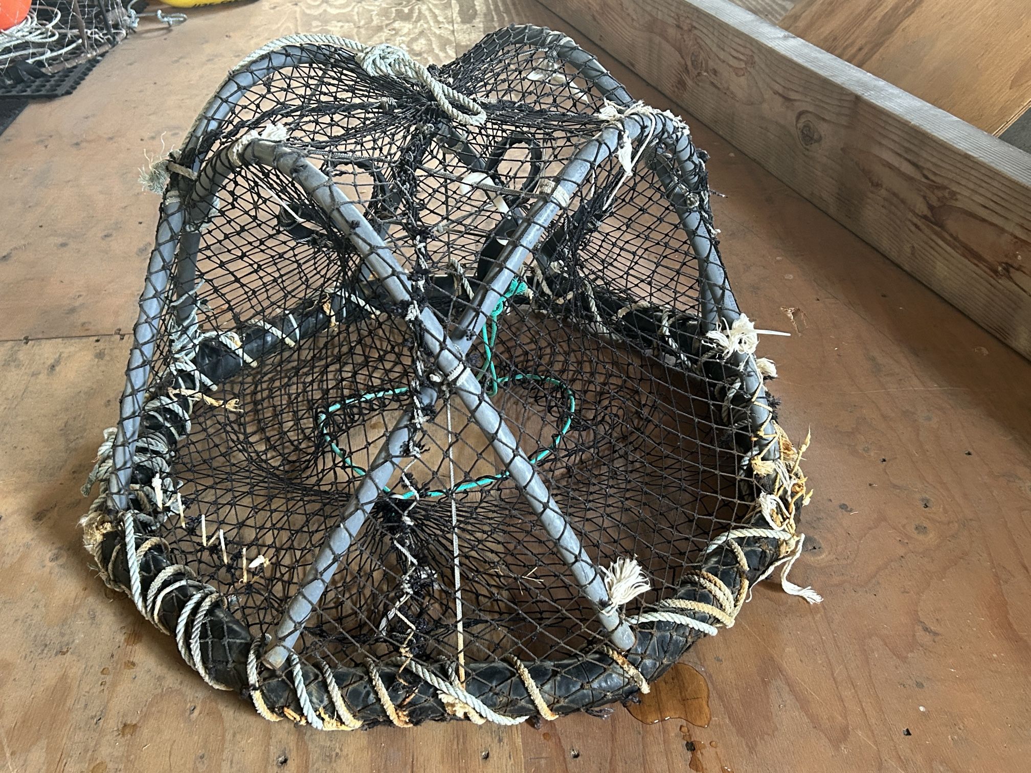 Spot Shrimp Pot