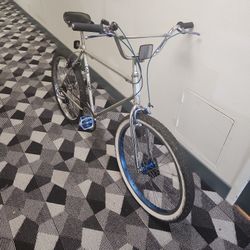 Schwinn deals sidewinder vintage
