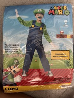 Luigi Boy Costume