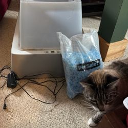 Pet Safe Self-cleaning Litter box With Extras