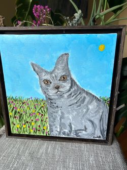 Pet portraits