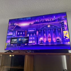 65 Inch Roku Tv