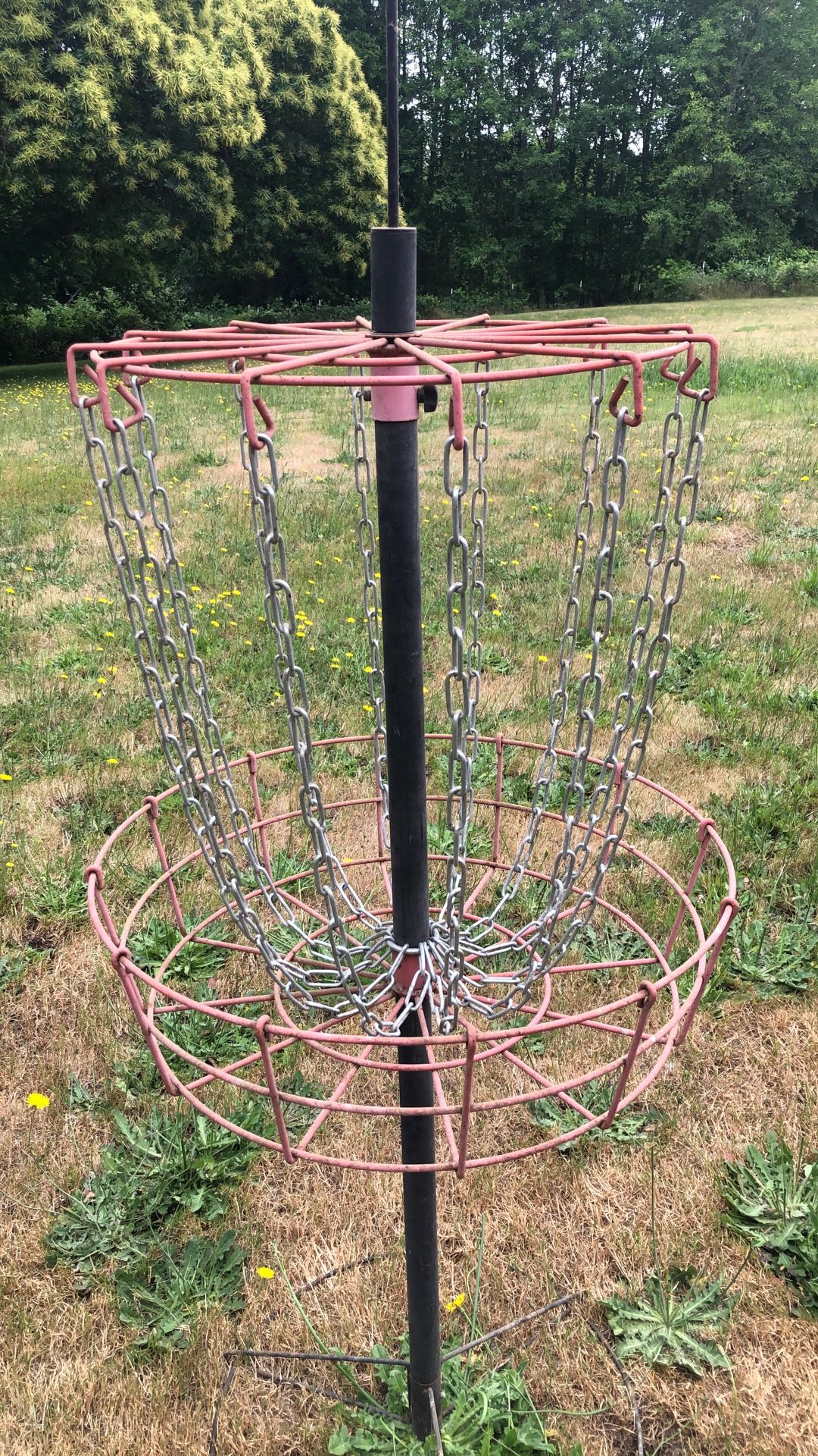 Disc Golf Basket