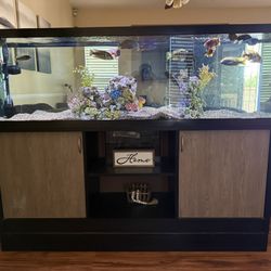 130 Gallon Aquarium EVERYTHING INCLUDED!!! 