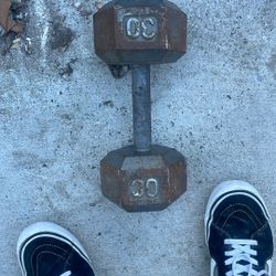 20 Lb Weight & 30 Lb 
